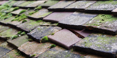 Felsted roof repair costs